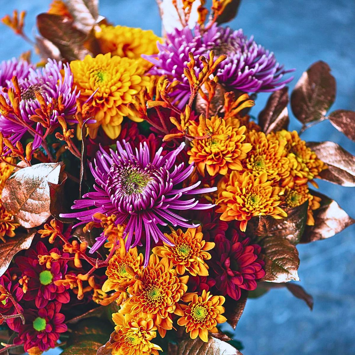 Typical Autumn Flowers