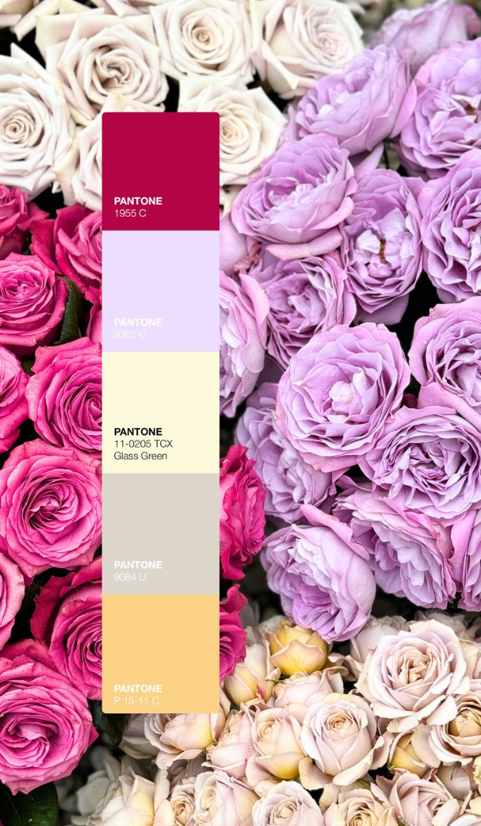 Lavender Mirage color palette with garden roses