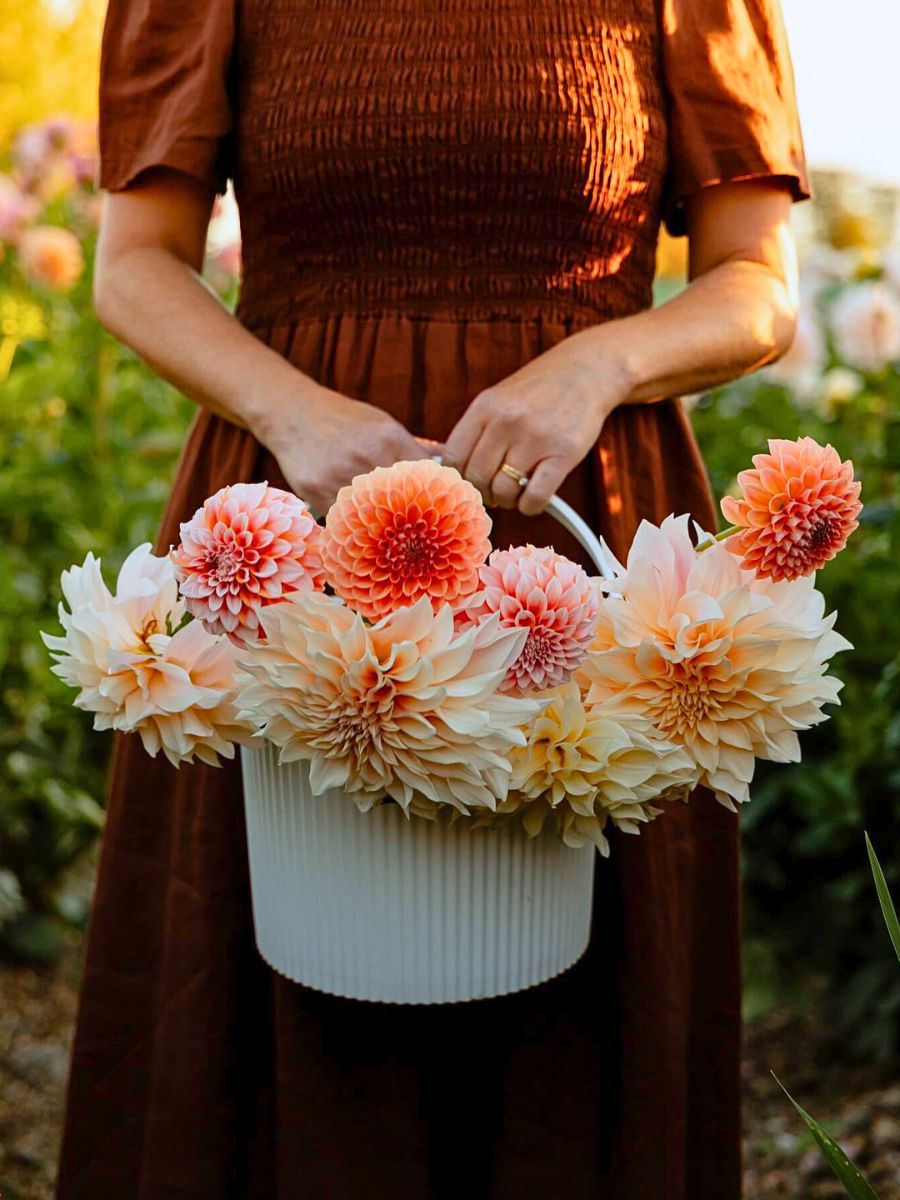 Typical Autumn Flowers