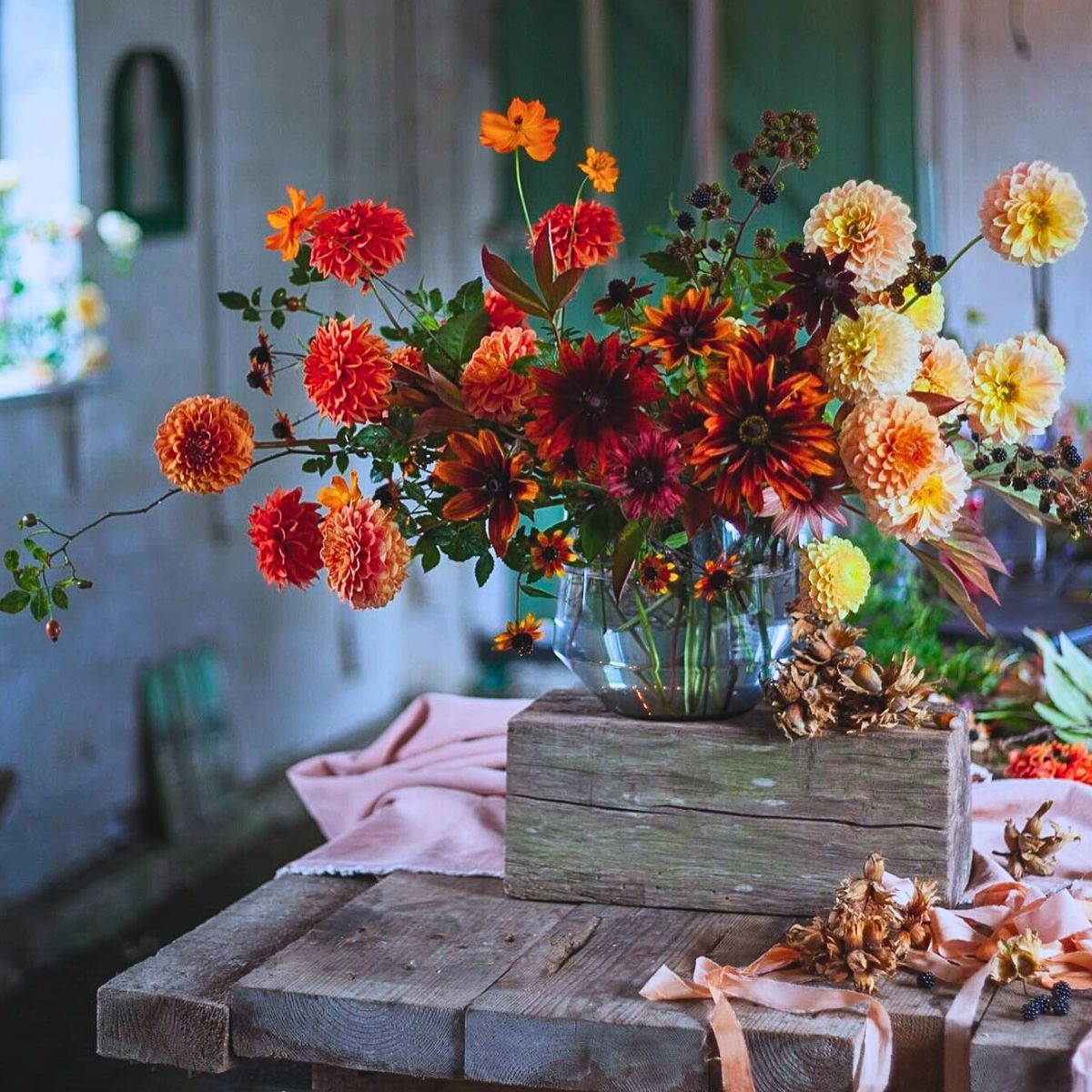 Typical Autumn Flowers 