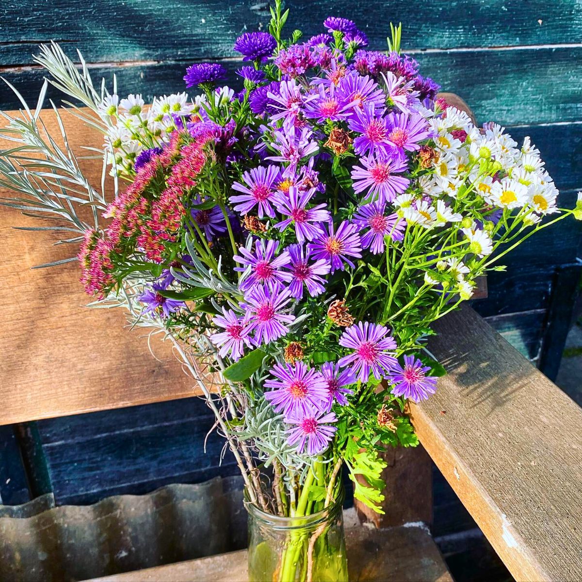 Typical Autumn Flowers