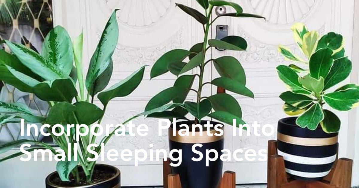 Plant space