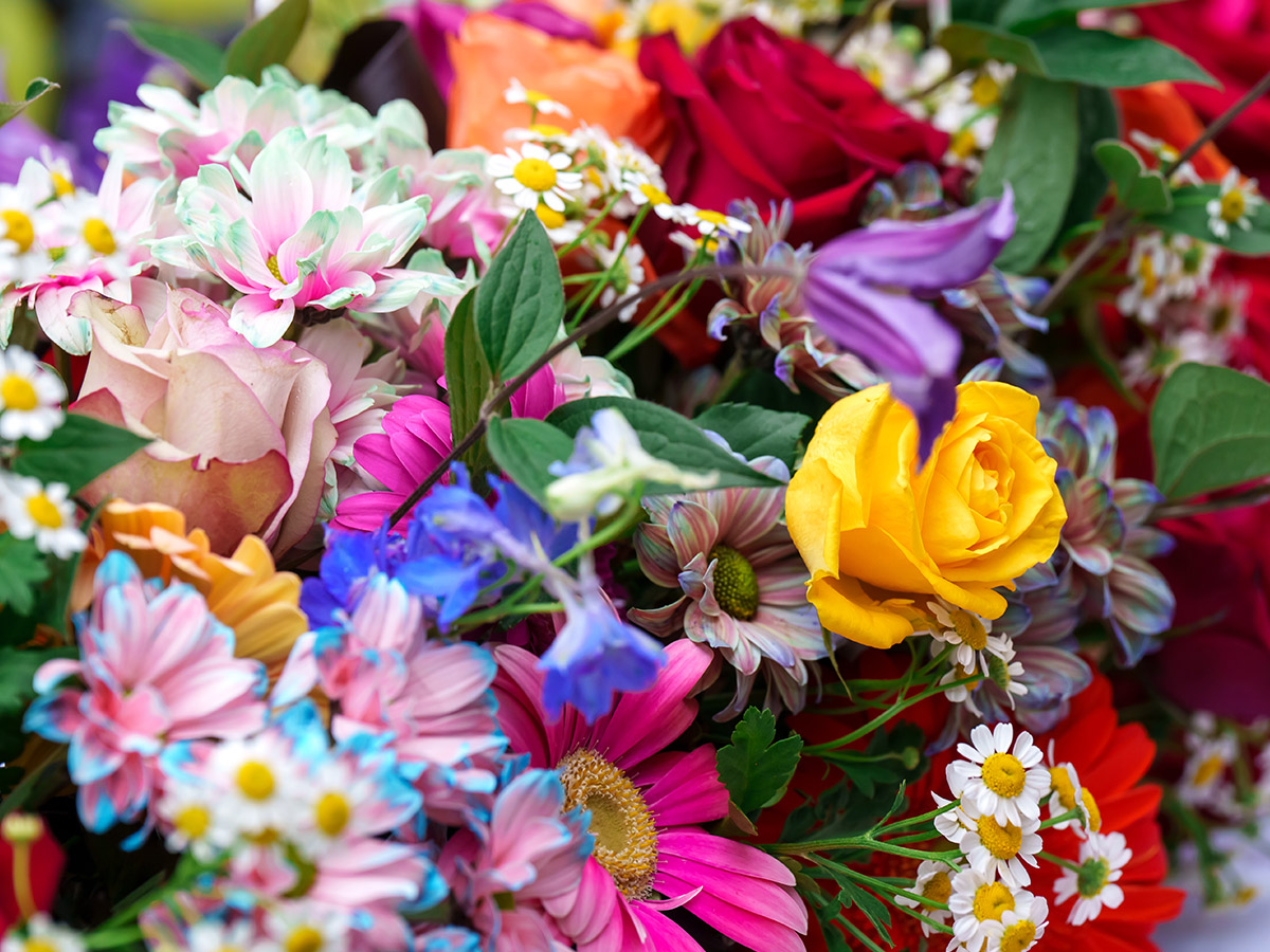 Flowers by Laura Draghici for Alice in Wonderland