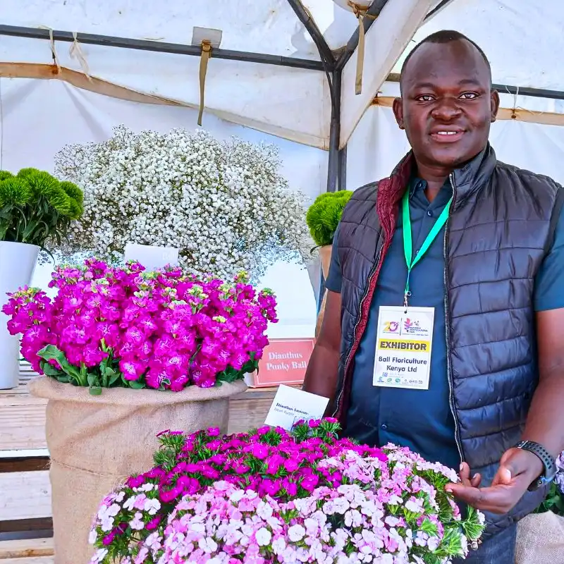 You Should Attend the Naivasha Horticultural Fair. Here’s Why.