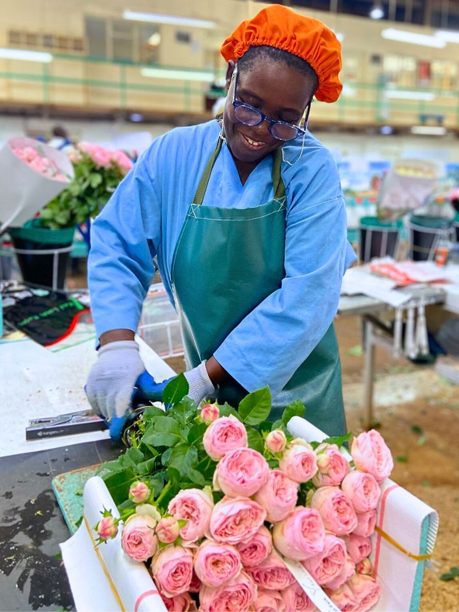 How Red Lands Roses Cares for Its Employees to Guarantee Quality Flowers