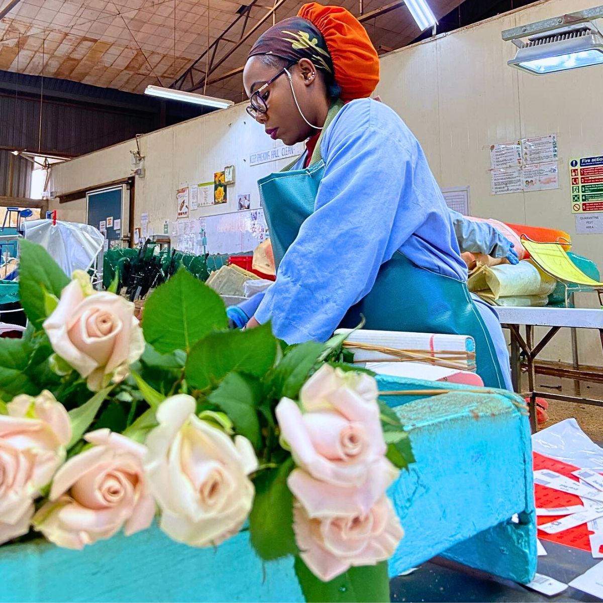 How Red Lands Roses Cares for Its Employees to Guarantee Quality Flowers