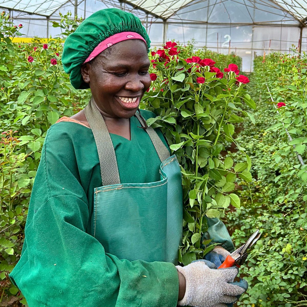 How Red Lands Roses Cares for Its Employees to Guarantee Quality Flowers