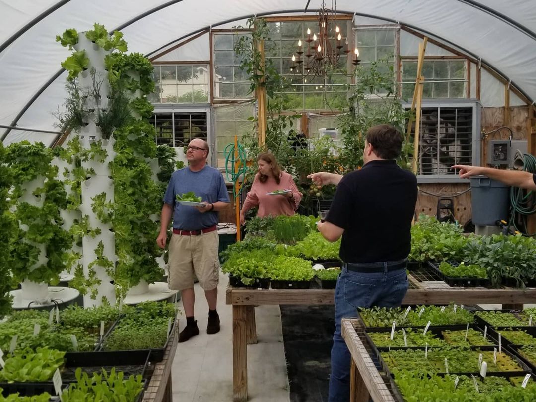 Men checking plants in greenhouse