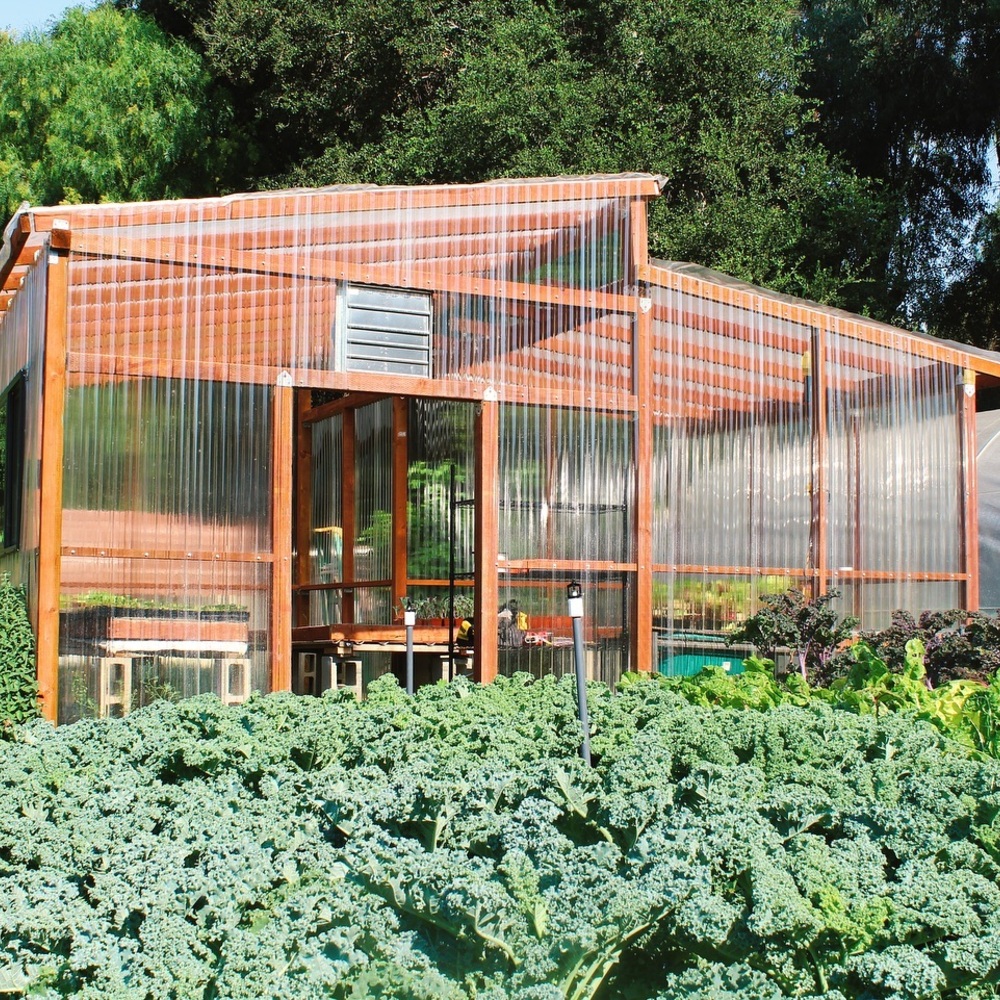 Wood Greenhouse 