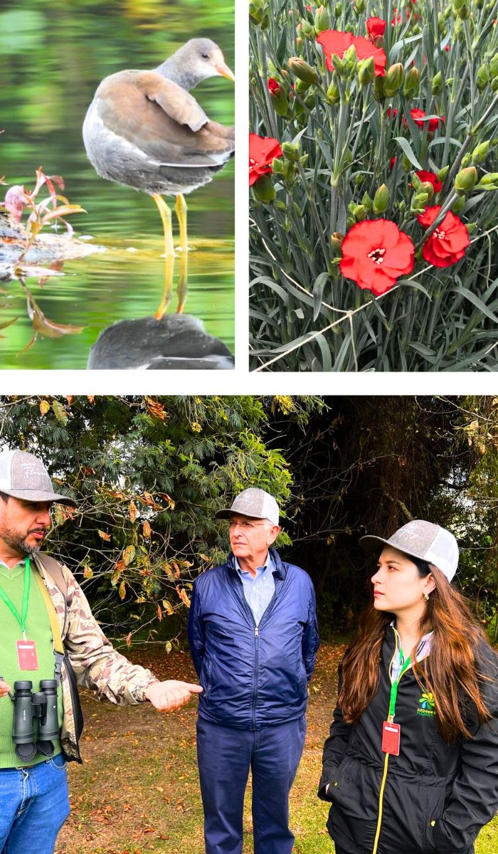 Birds and flowers of Colombia