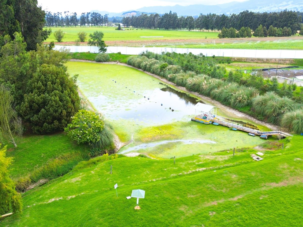 Bogota Savannah and green surroundings