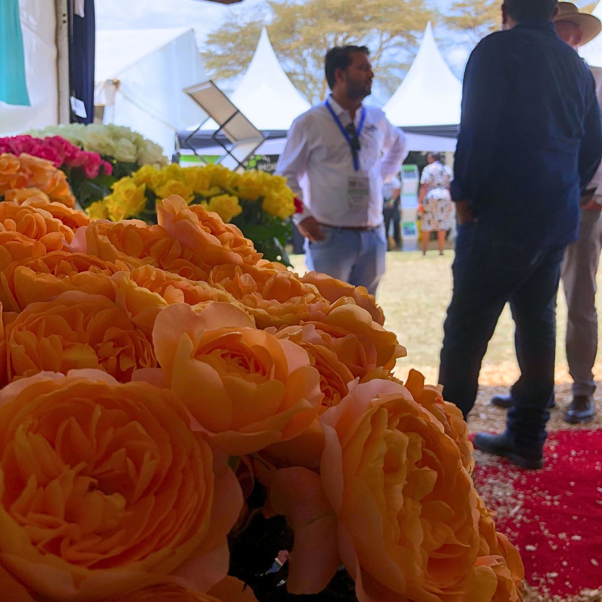 Naivasha Horticultural Fair 2024 Was a Success