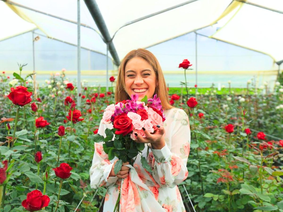 Agrinag red roses grown in Ecuador