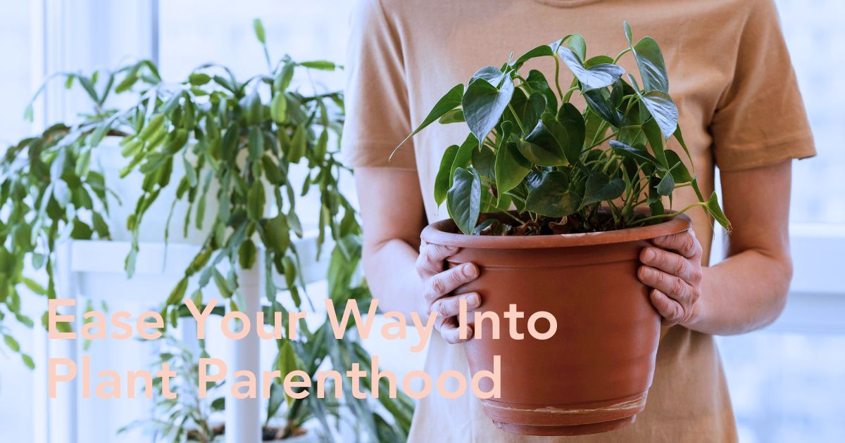 Plants That Will Help You Easily Start Your Journey as a Beginner Plant Parent