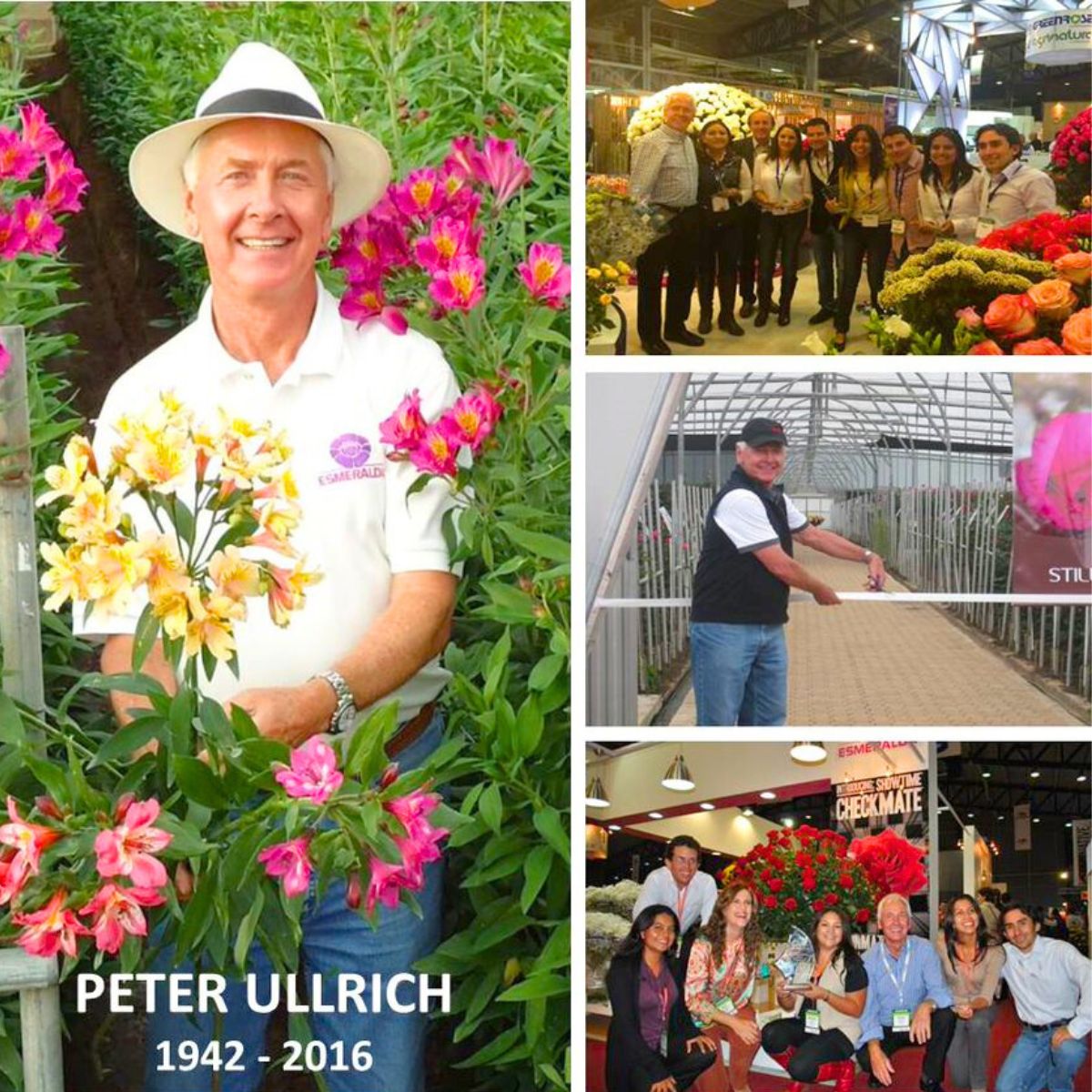 Peter Ullrich figure in the Ecuadorian flower industry