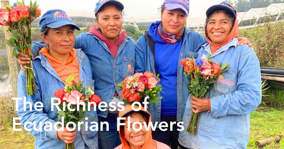 Richness of Ecuadorian flowers