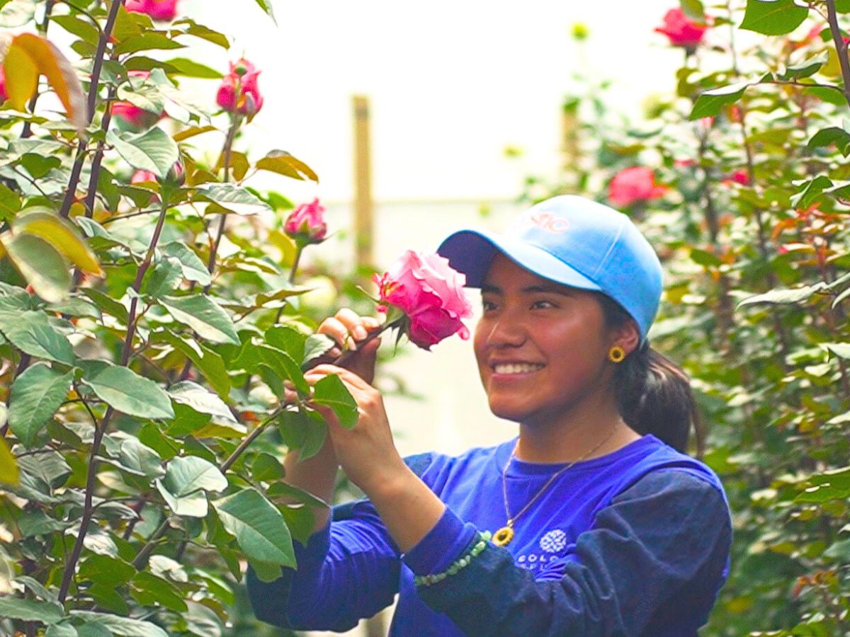 Girl looking at a pink rose