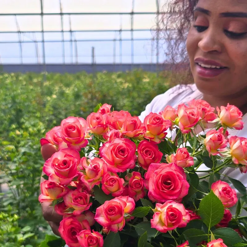 Rosemary Kimunya at Karen Roses