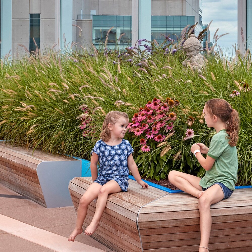 Children playing in garden area