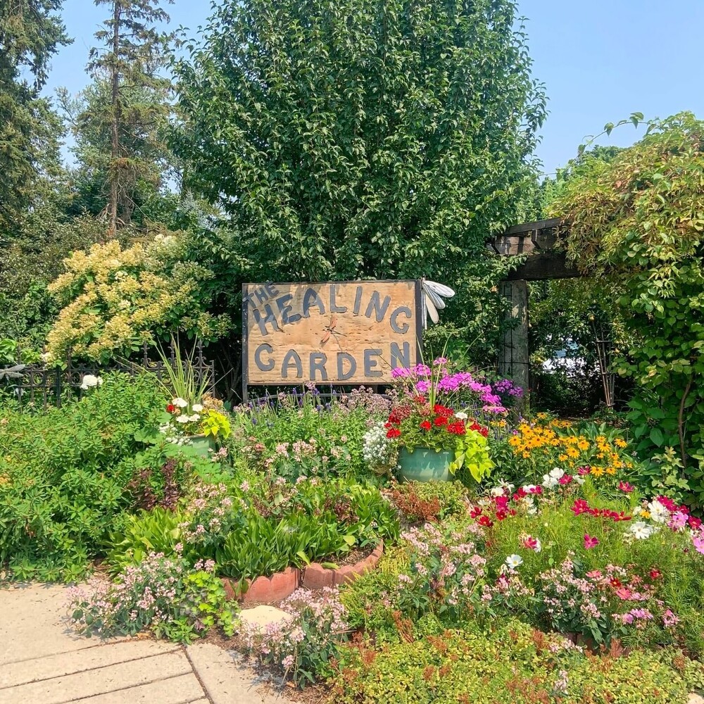 Creating healing flower garden