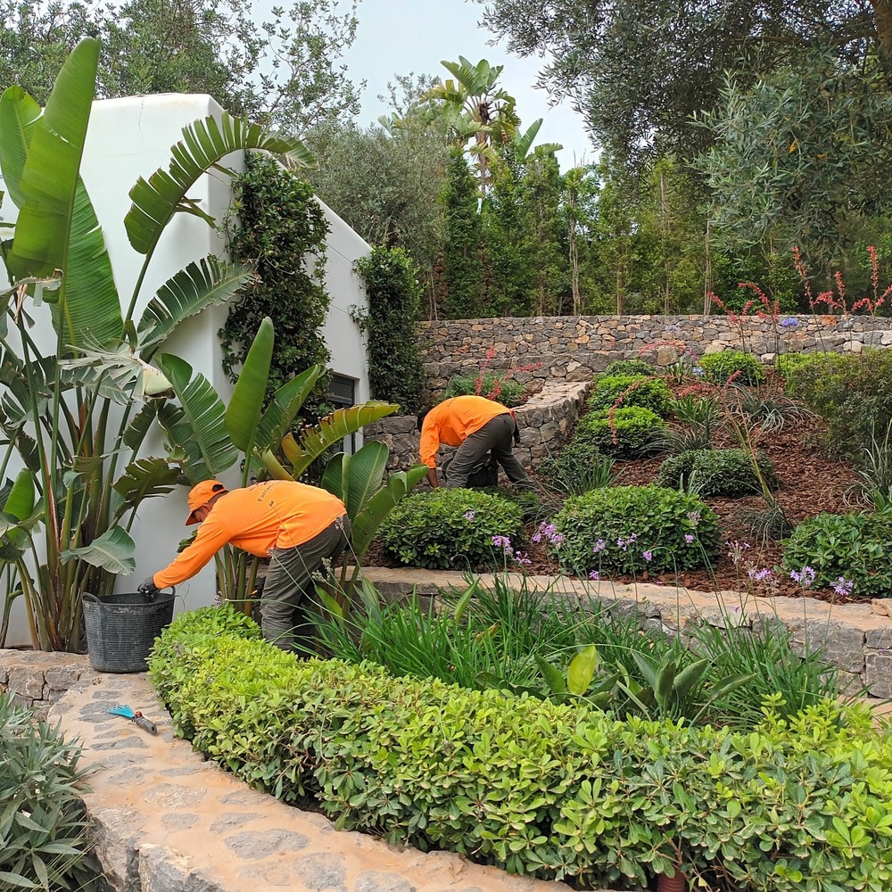 Man Adding elements in home garden