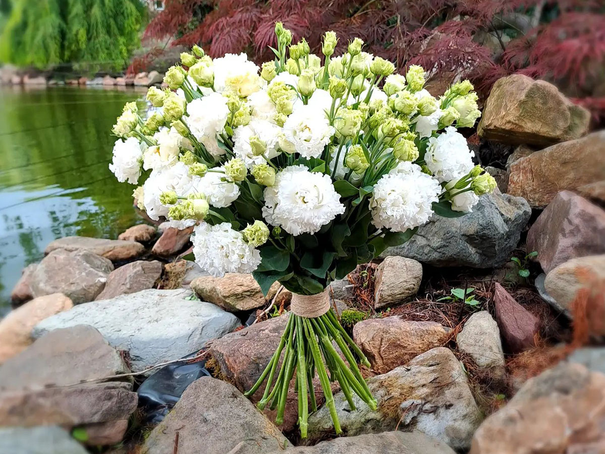 Lisianthus Big Sun White bouquet Sunrise Holland