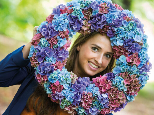 The Beautiful Unique Colors of Classic Hydrangeas - wreath