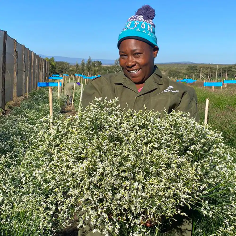 Mount Kenya Sprouts grower on Thursd feature