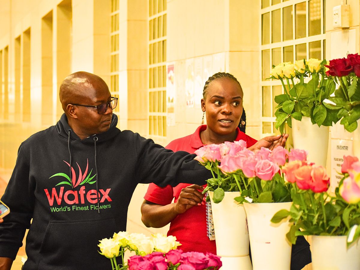 Wafex Kenya Guarantees a Hassle-Free Flower Sourcing and Logistics Experience