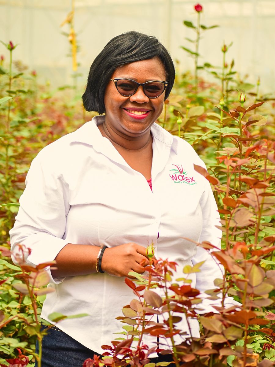 Wafex Kenya Guarantees a Hassle-Free Flower Sourcing and Logistics Experience