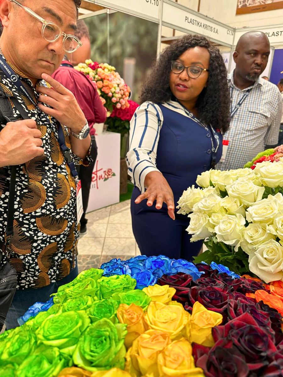 Wafex Kenya Guarantees a Hassle-Free Flower Sourcing and Logistics Experience