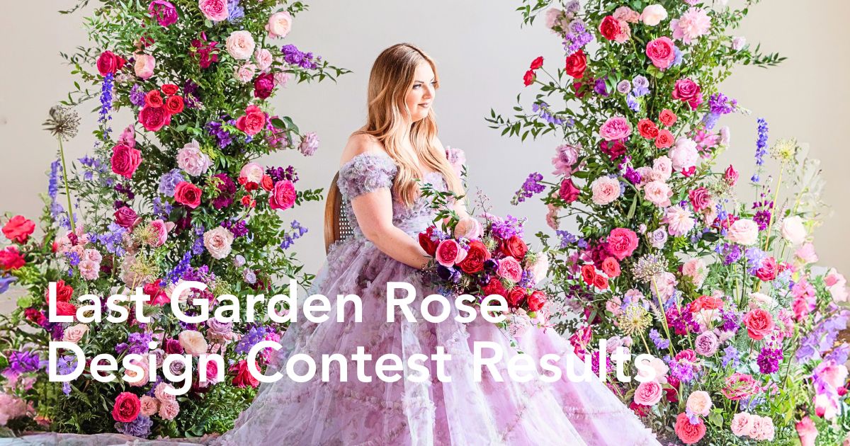 Results of Garden Rose Contest