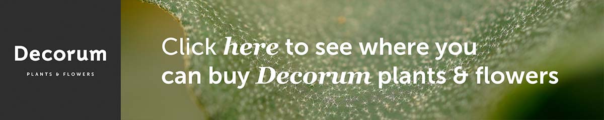 Decorum banner