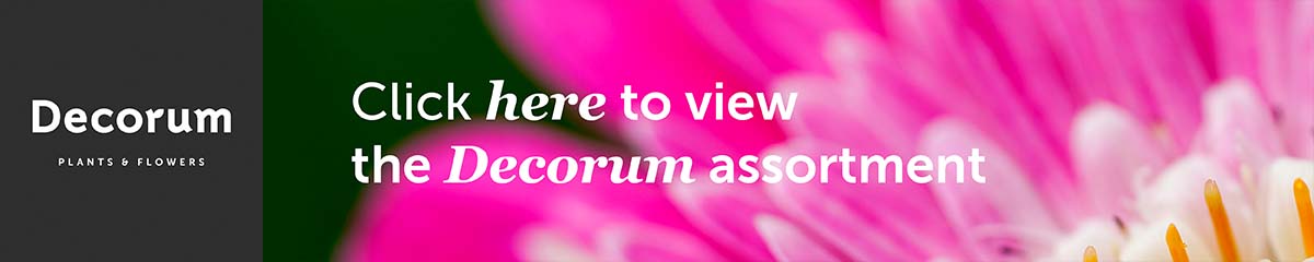 Decorum Banner