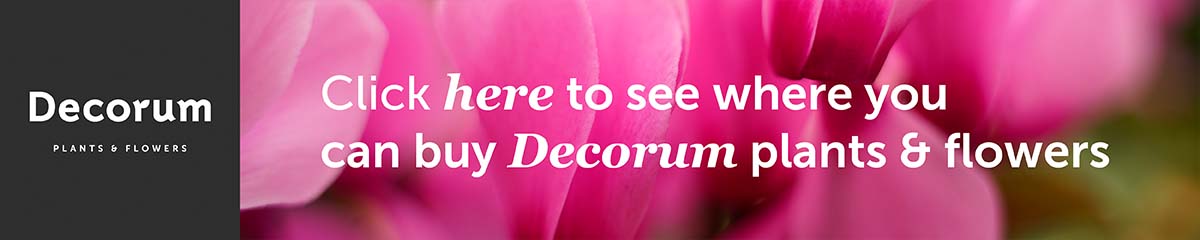 Decorum-Banner 5 Thursd Desktop 2024