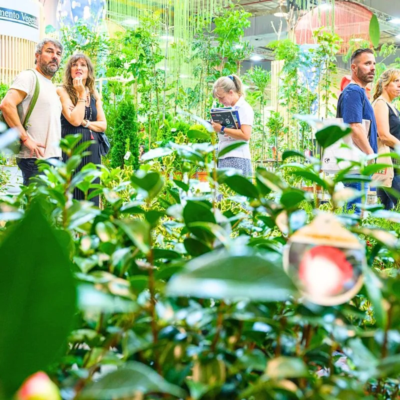 People enjoying green spaces at the fair