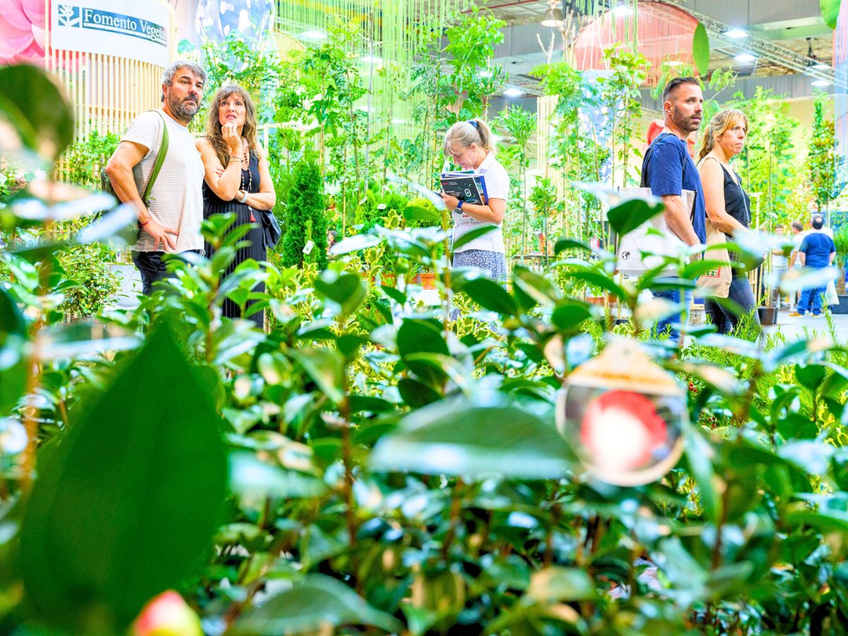 People enjoying green areas and plants at the fair