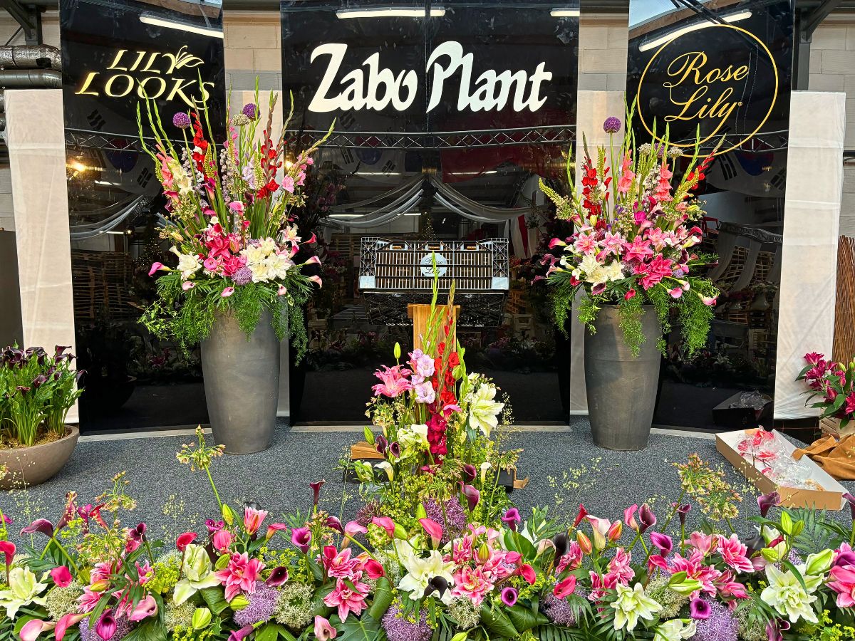 ​Zabo Plant’s​ Forays in the North American Market