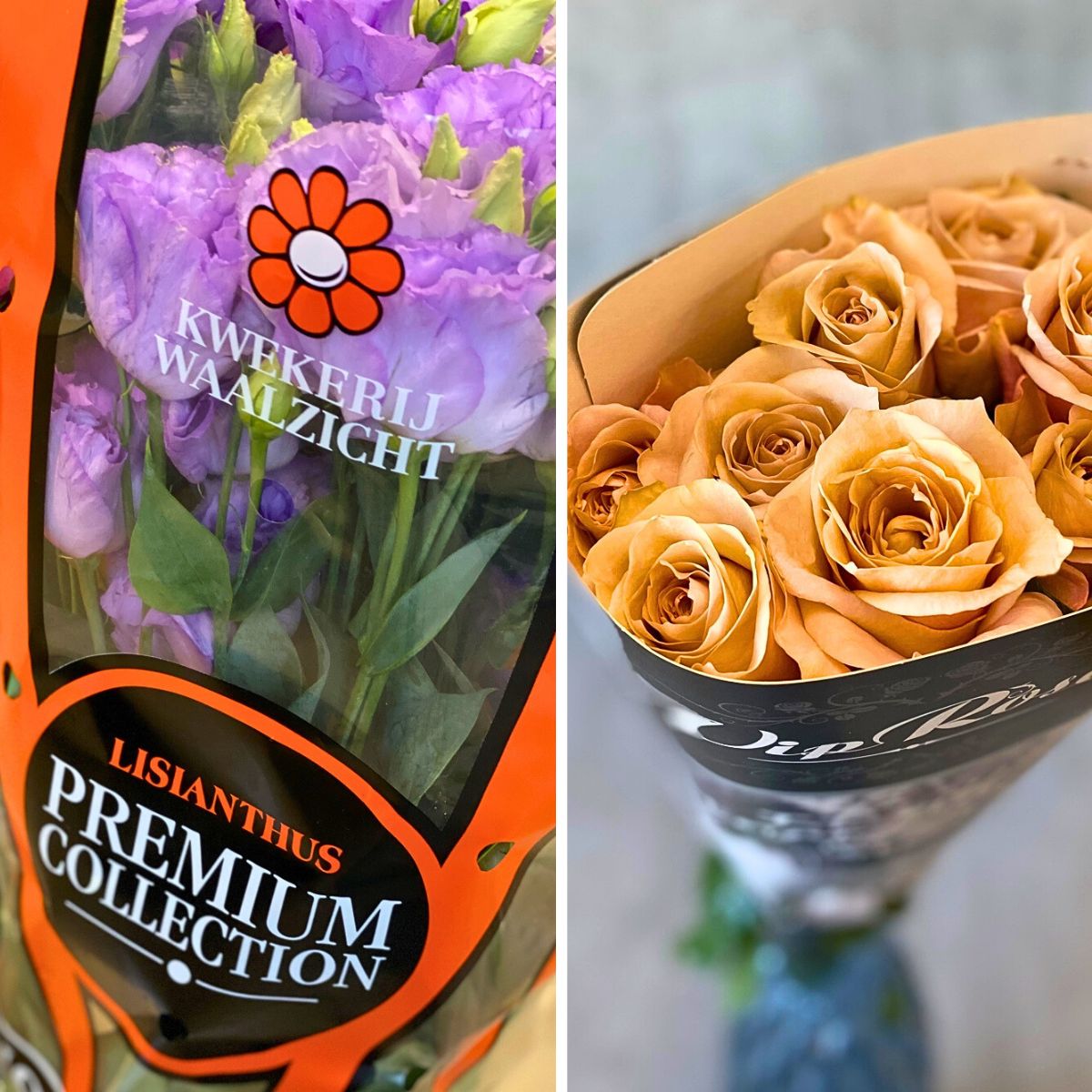 Westflor Wins BFA Local Flower Wholesaler of the Year for 2024