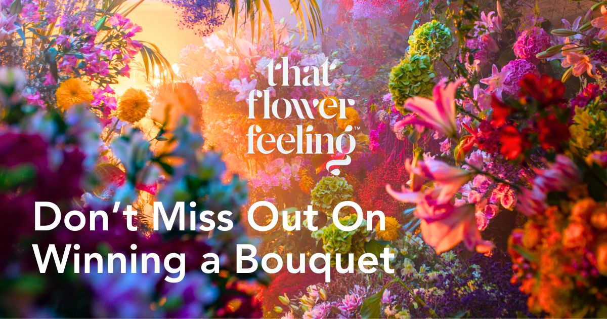 That Flower Feeling giveaway