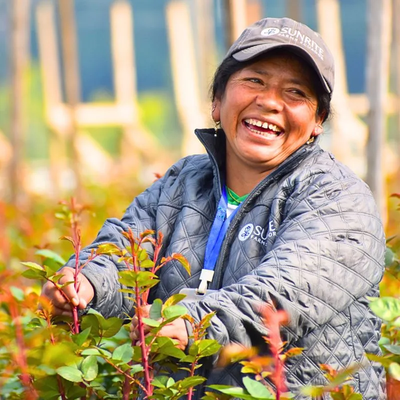 Sunrite Farms worker smiling