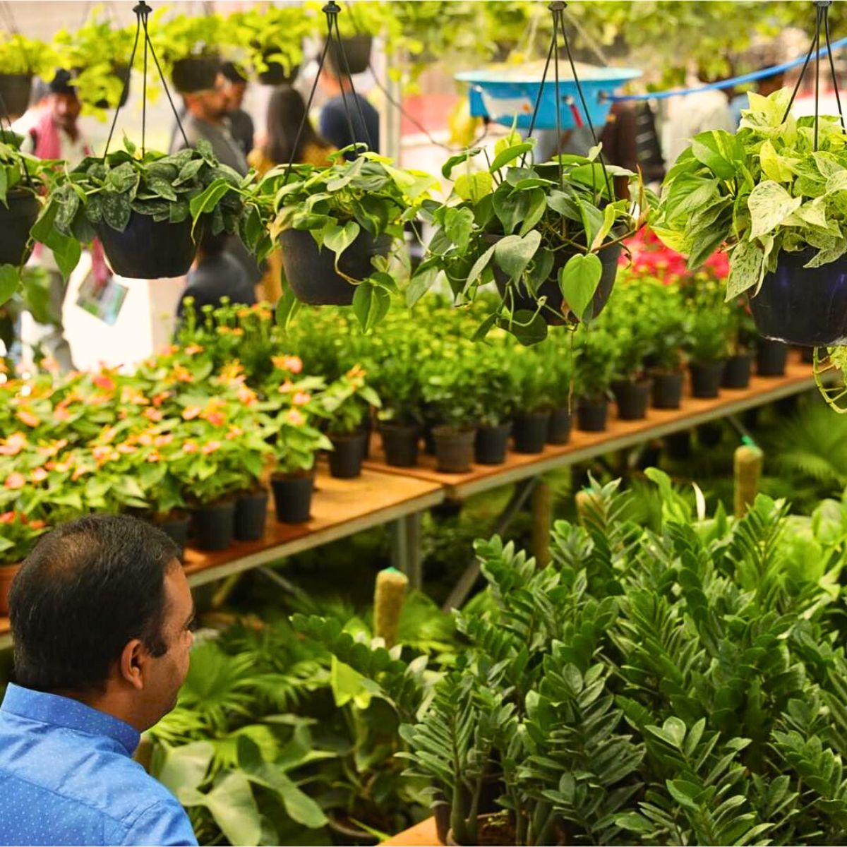 Get Ready to Attend The International Flora Expo, India’s Largest Fair for Floriculture, Landscaping and Gardening