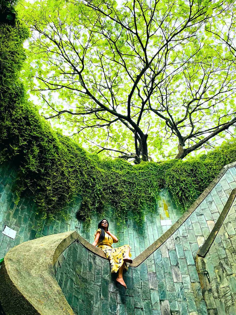 View of green trees and plants at Fort Canning Park