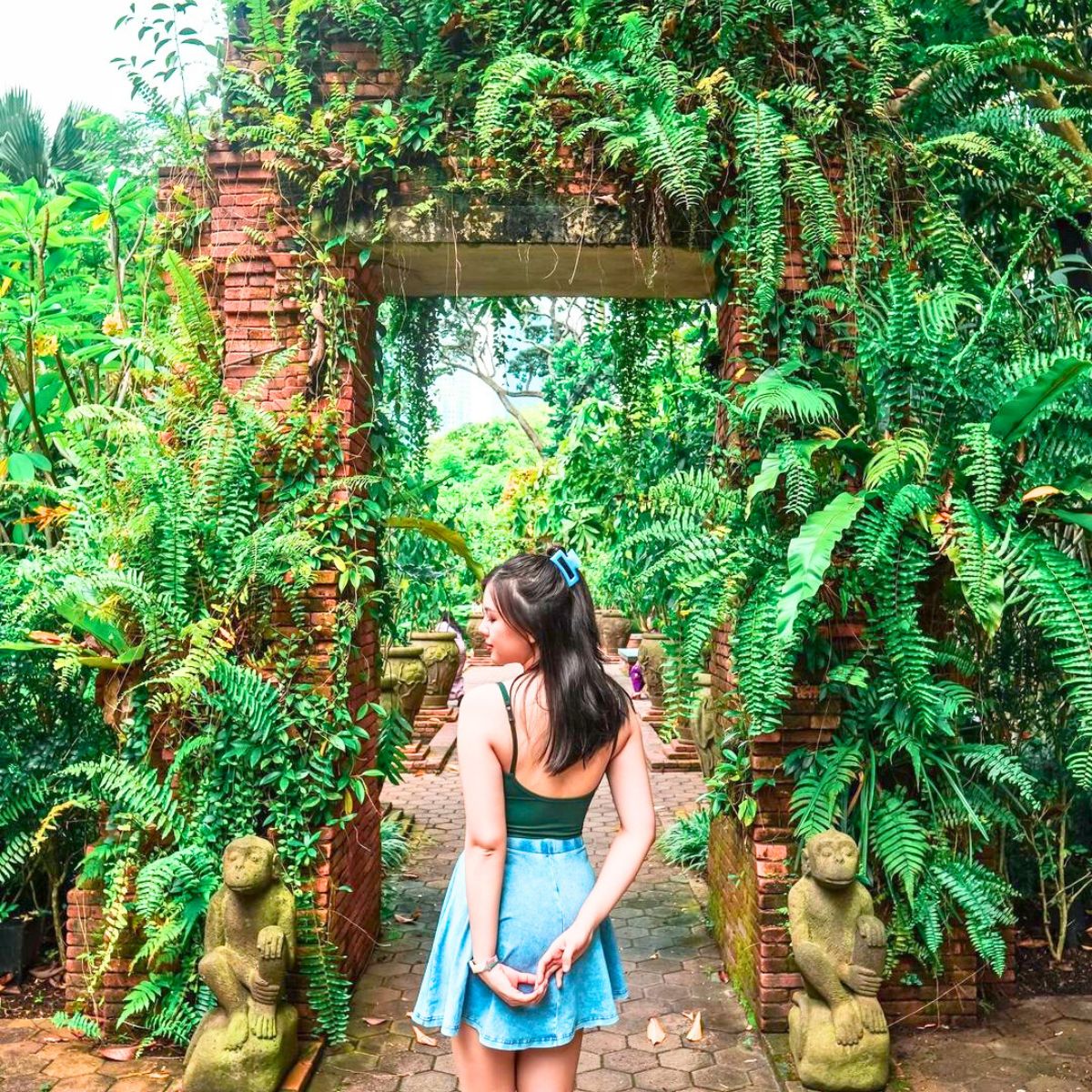 The greens and plants of Fort Canning Park