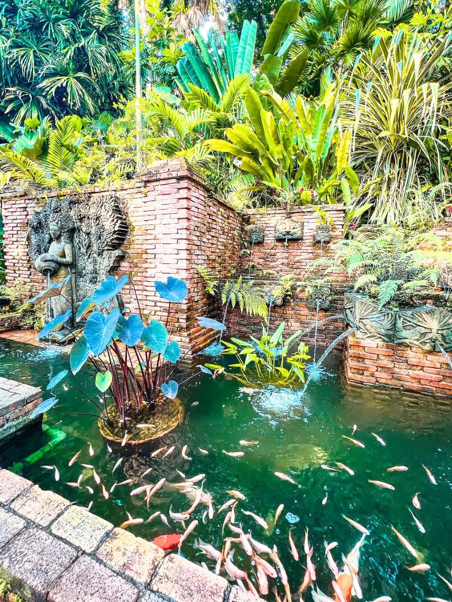 Pond and plants surrounding nature spaces at Fort Canning