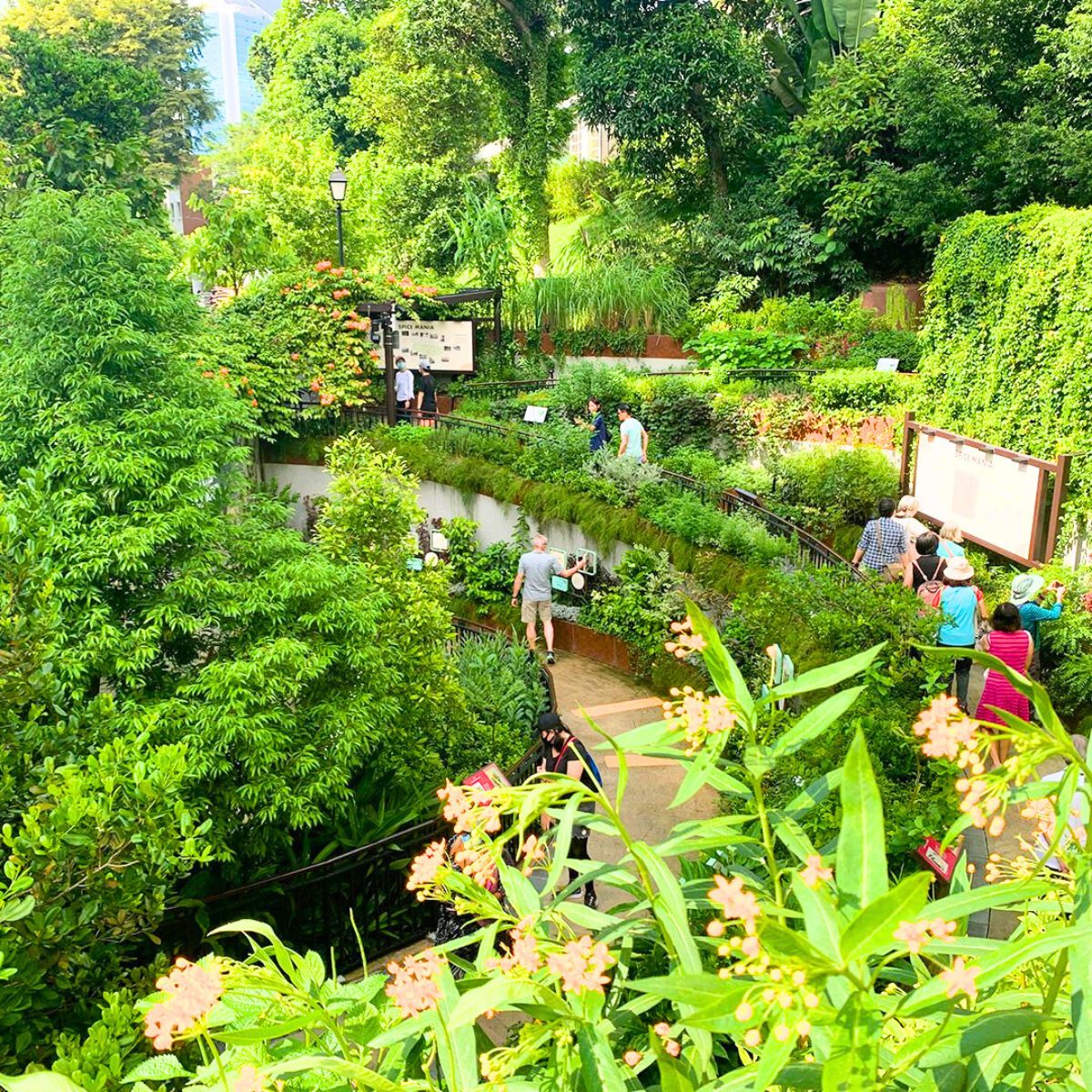 Spice garden at Fort canning