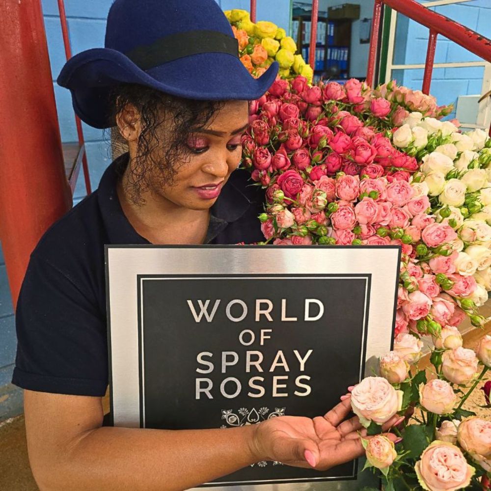 World of Spray Roses