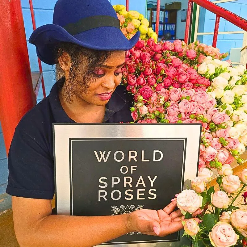 World of Spray Roses