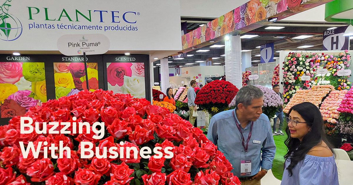 Plantec booth at Expo Flor 2024