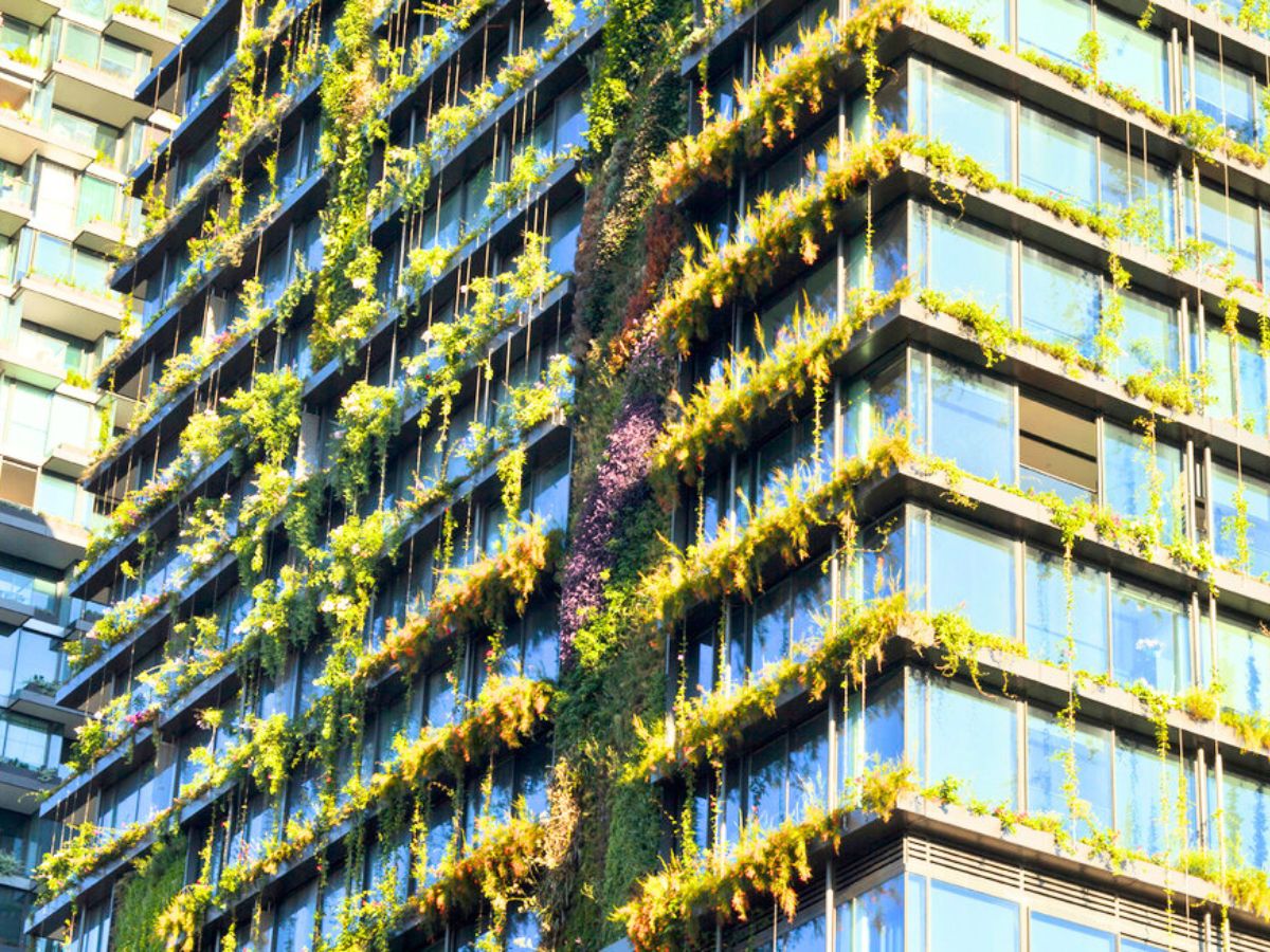 Windows decorated with hanging plants and vines